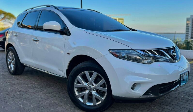 
								NISSAN MURANO Full House full									