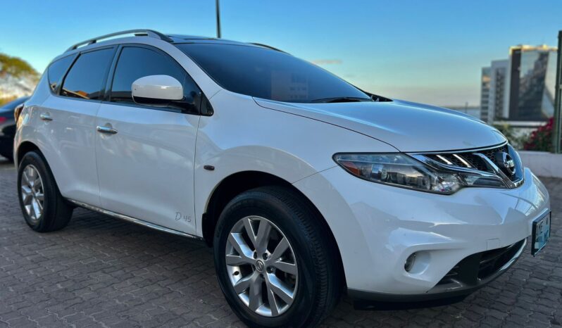 
								NISSAN MURANO Full House full									