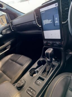 FORD WILDTRACK 2024 full